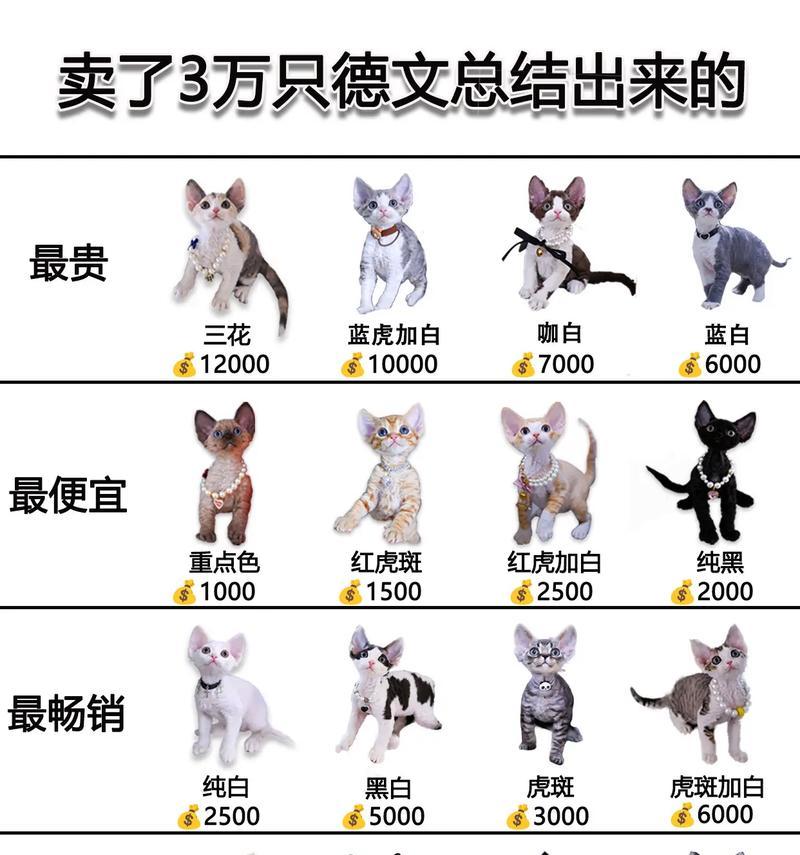 同色德牧猫咪配种的费用是多少？配种时应注意什么？
