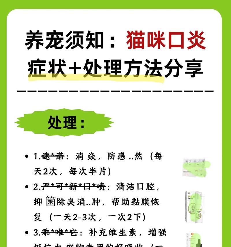 患有口腔炎的猫应如何喂食猫粮？