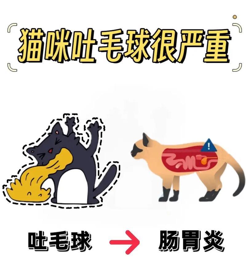 猫咪吐毛球中含有猫粮是怎么回事？原因是什么？