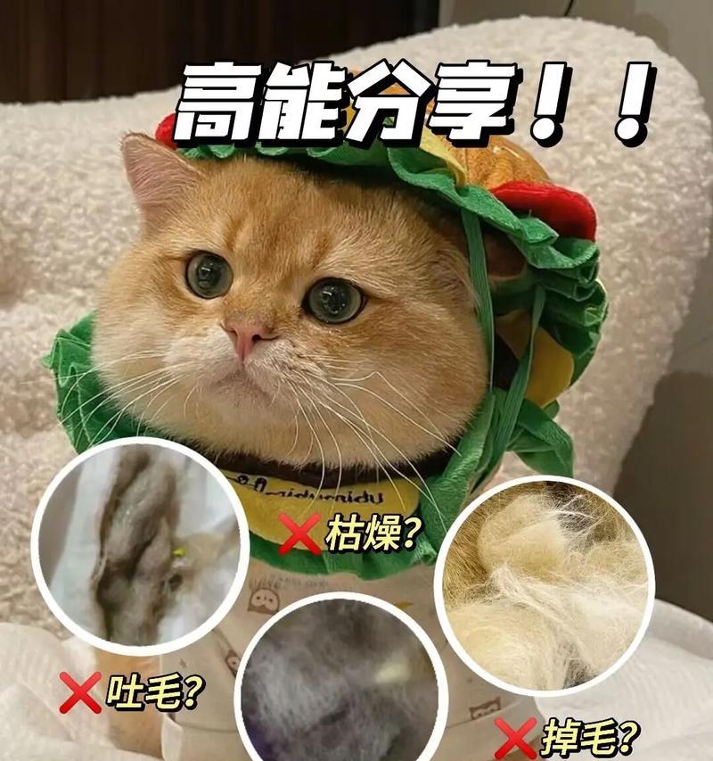 猫咪吐毛球中含有猫粮是怎么回事？原因是什么？