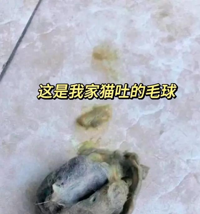 猫咪吐毛球中含有猫粮是怎么回事？原因是什么？