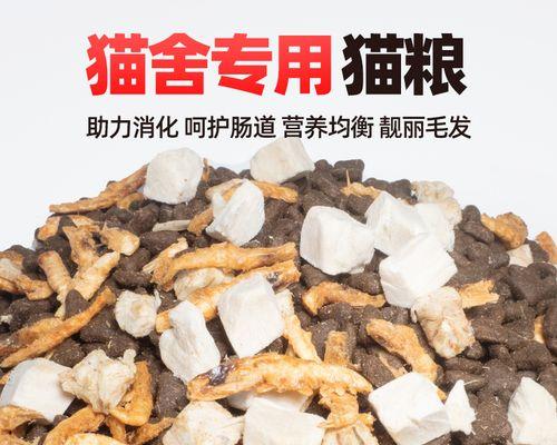 哪家公司专门做流浪猫粮？