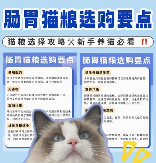 小猫咪吃什么特别小的猫粮？如何选择合适品牌？