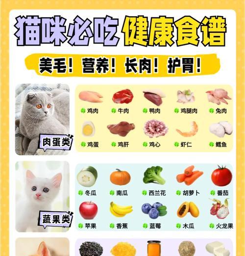 如何用经济实惠的方法制作美味猫粮？有哪些简单易行的食谱推荐？