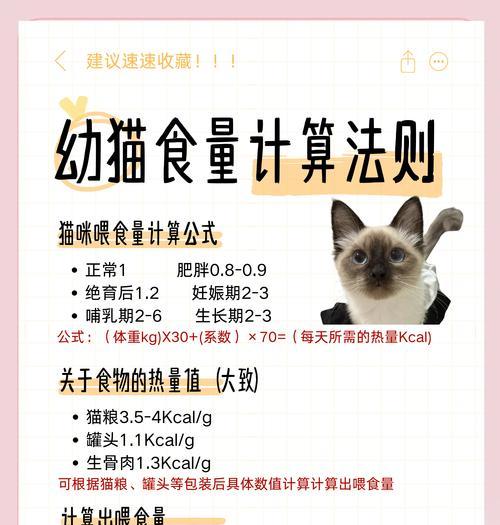 如何用经济实惠的方法制作美味猫粮？有哪些简单易行的食谱推荐？