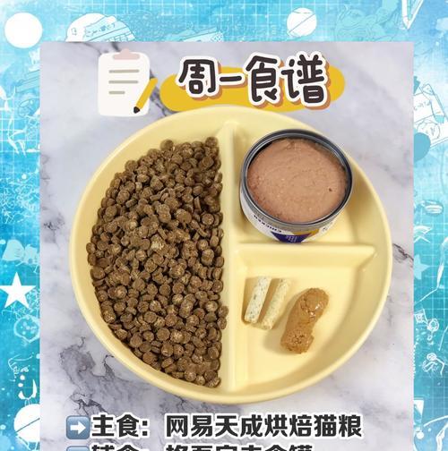 如何用经济实惠的方法制作美味猫粮？有哪些简单易行的食谱推荐？