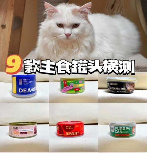 猫罐头与猫粮的搭配：如何吃更易消化？