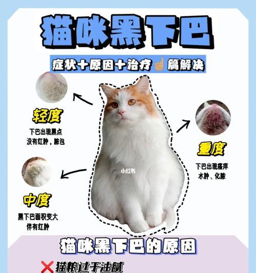 小猫黑下巴应选哪种猫粮？如何预防和治疗？