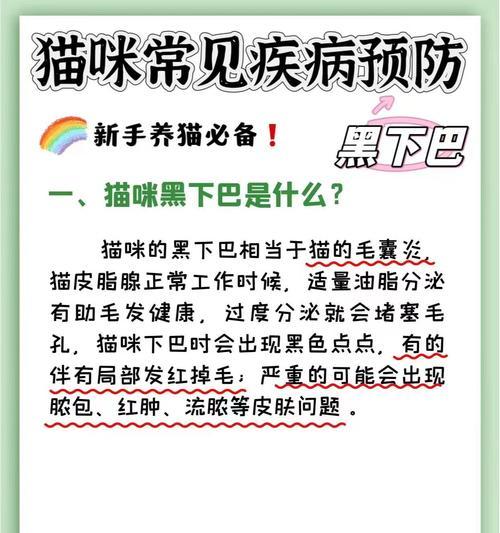 小猫黑下巴应选哪种猫粮？如何预防和治疗？
