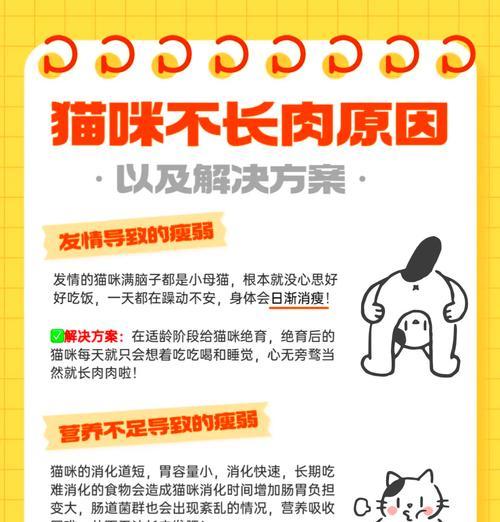 猫咪戒掉冻干猫粮的方法有哪些？