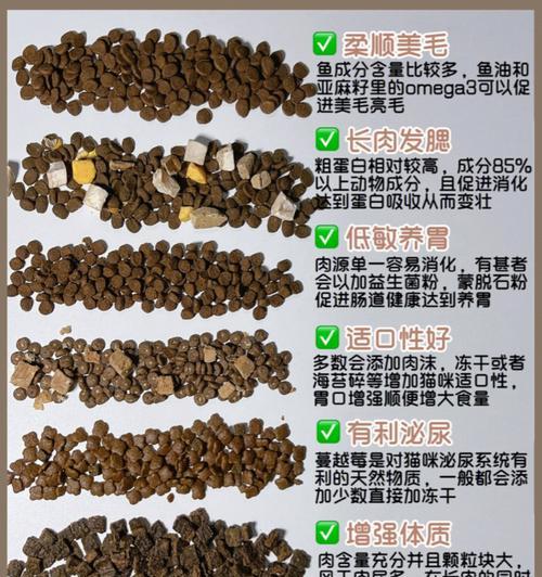猫咪戒掉冻干猫粮的方法有哪些？