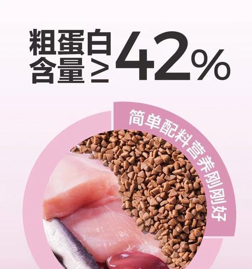 新生猫咪应该吃什么粮既好消化又有营养？