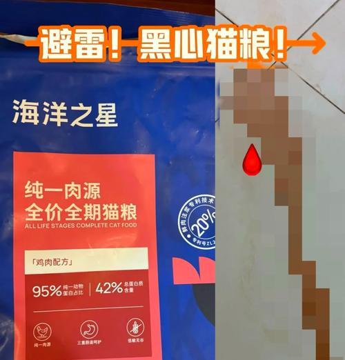 猫咪猫粮中毒吐血的急救措施是什么？