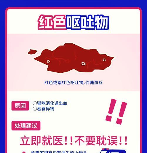猫咪猫粮中毒吐血的急救措施是什么？