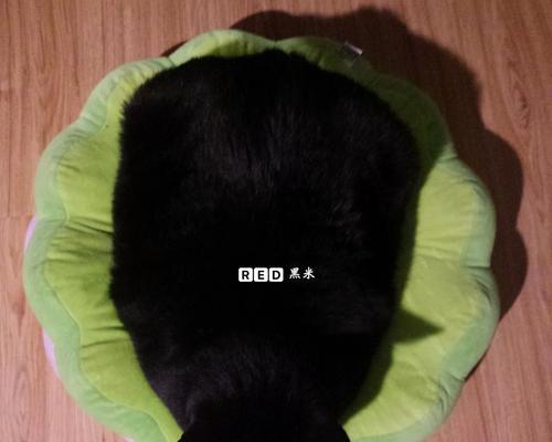黑色羊驼垫子有何特别？适合哪些场合使用？