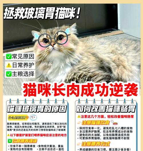 试吃猫粮小猫会拉稀吗？试吃猫粮对小猫有何影响？