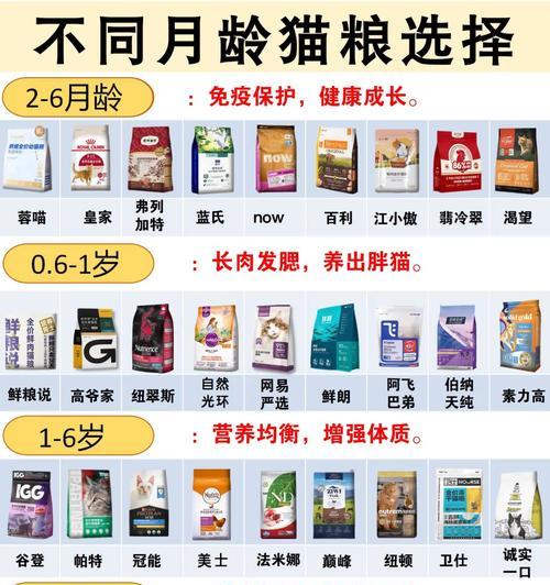 成长期猫咪的猫粮选择标准是什么？
