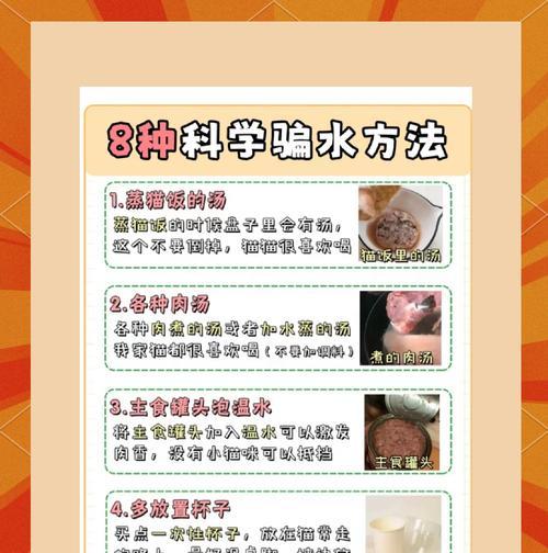 猫粮导致猫咪多喝水的原因是什么？如何调整？