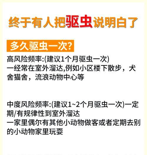如何正确地将驱虫药混入猫粮中？需要注意什么？