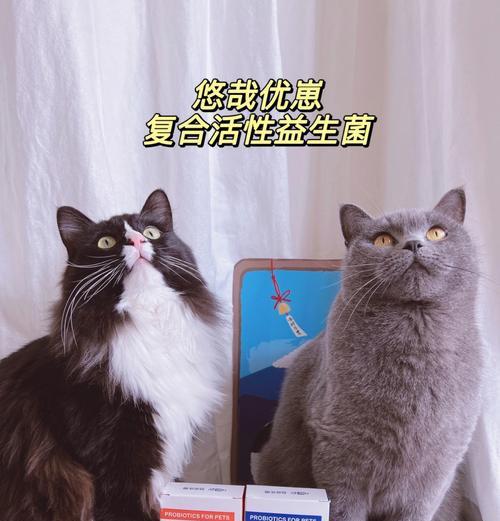 猫湿粮里有什么菌类成分？这些成分对猫咪健康有何影响？