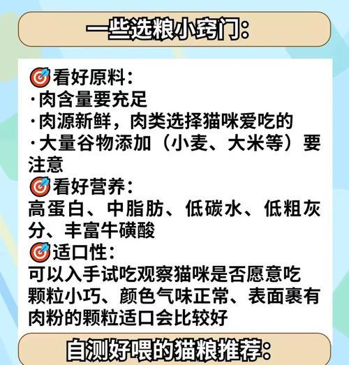 猫为何偏爱主人手里的猫粮？如何改善？