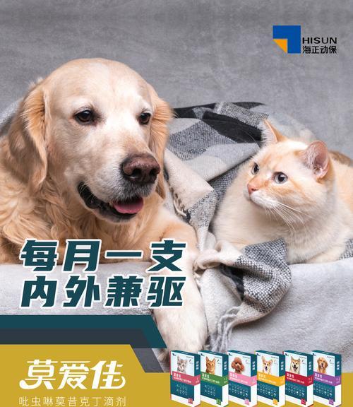 换猫粮导致不适应吃什么药？如何缓解症状？