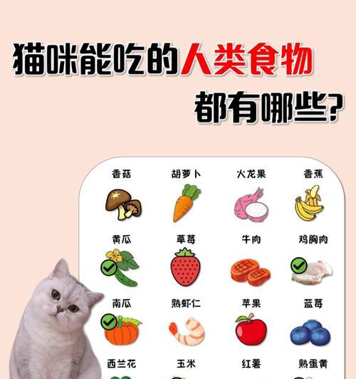 猫咪为何拒绝人类食物？如何引导猫咪吃猫粮？