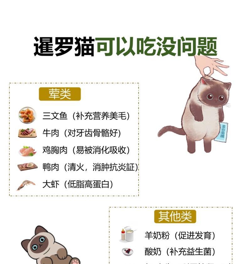 暹罗猫必须吃猫粮吗？不喂猫粮会有什么后果？