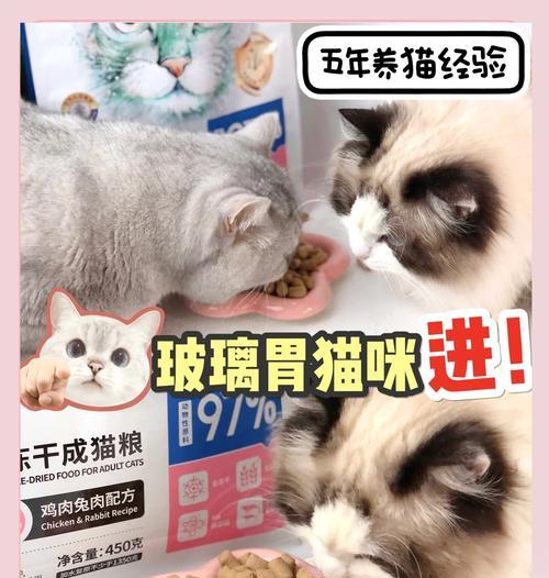 布偶猫吐胃液和猫粮该如何处理？有哪些解决措施？