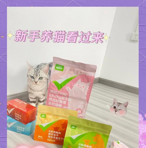 放假回家如何正确放置小猫的猫粮？