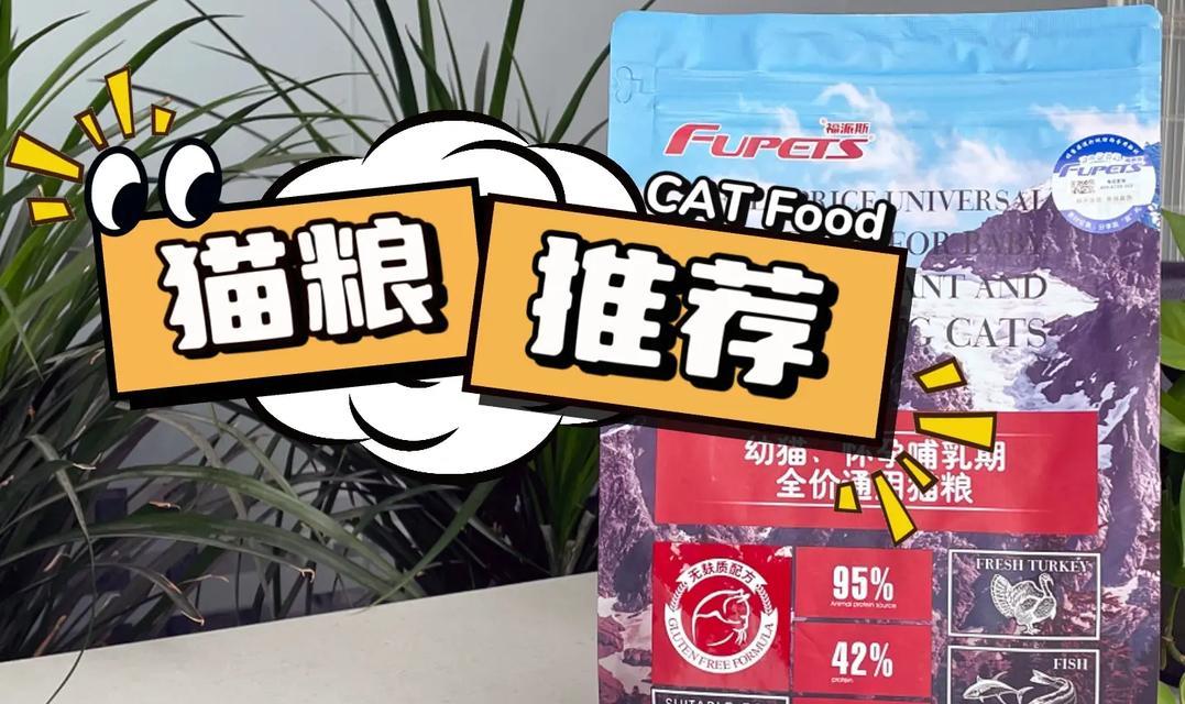 怀孕猫咪的猫粮选择有哪些？