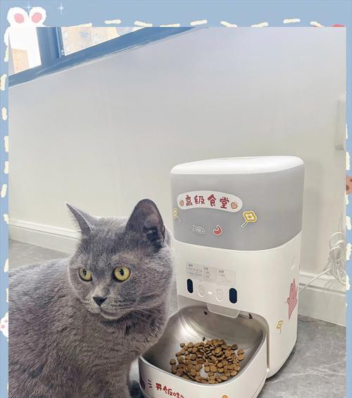 什么机器能做猫粮？自制猫粮的正确方法是什么？