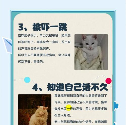 顽皮猫粮导致猫咪流眼泪的原因是什么？如何解决？
