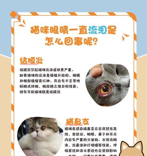顽皮猫粮导致猫咪流眼泪的原因是什么？如何解决？
