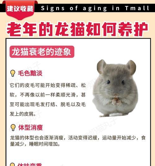 龙猫粮变质后为何不宜食用？
