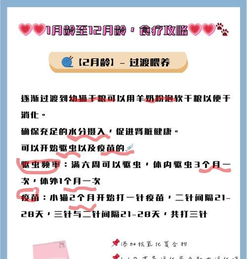 小幼猫拒绝羊奶猫粮？解决方法是什么？