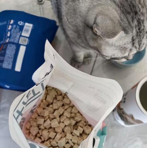 成年猫为何对猫粮失去兴趣？