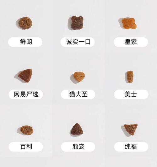 1岁内的猫应该吃什么粮？不同阶段猫粮的选择标准是什么？