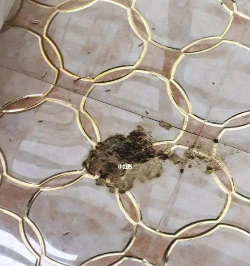 小蓝猫食用猫粮后呕吐的原因分析？