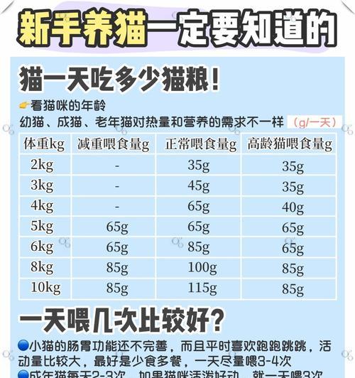面对超大量猫粮的猫应如何处理？是否需要调整喂食量？