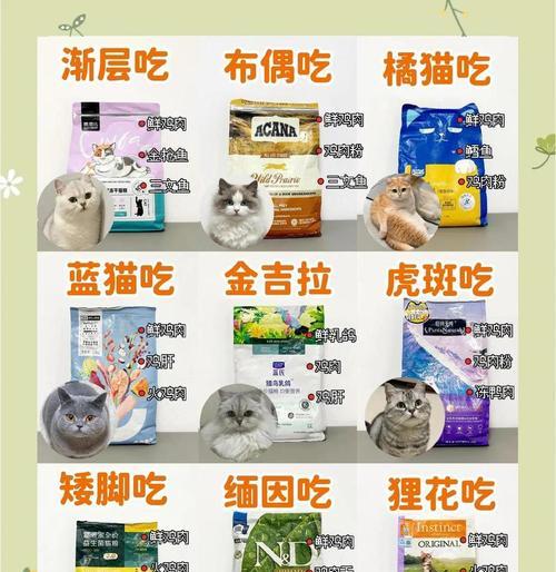 大牌猫粮试吃怎么买的啊？购买途径和注意事项是什么？