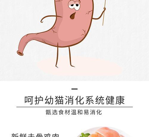 奶糕猫粮粉末如何烹饪？有哪些美味食谱？