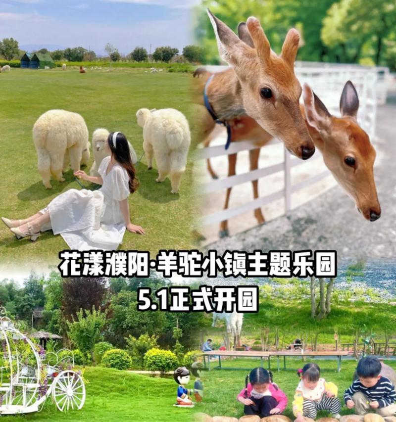 濮阳羊驼小镇的建成时间是什么时候？