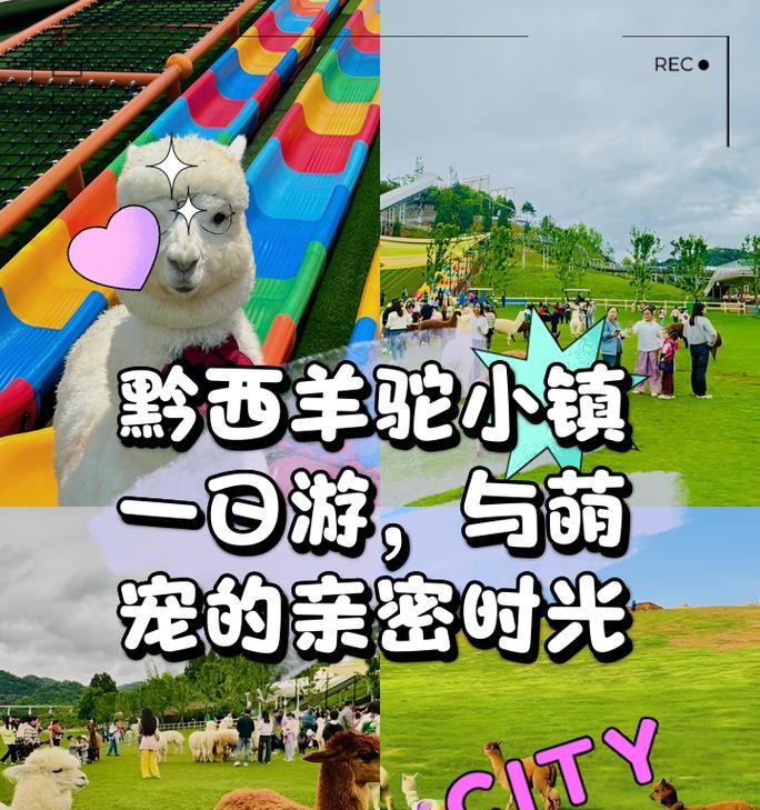 濮阳羊驼小镇的建成时间是什么时候？