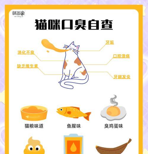 猫咪口臭与猫粮有关时应如何处理？