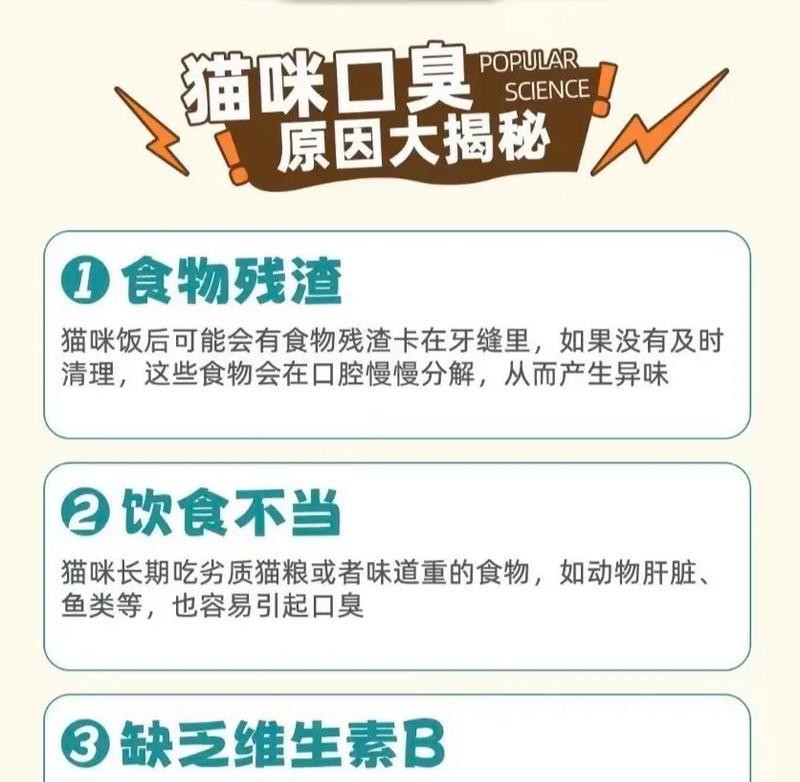 猫咪口臭与猫粮有关时应如何处理？
