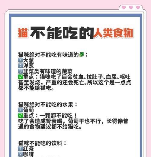 猫咪偏爱非传统食物如烤冷面有何风险？如何纠正猫咪的饮食习惯？
