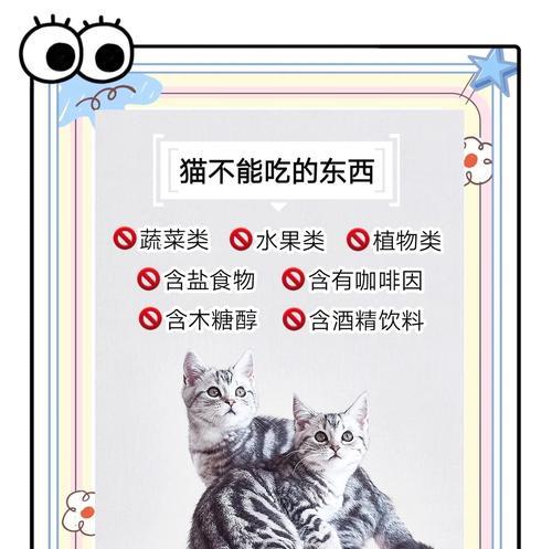 猫咪偏爱非传统食物如烤冷面有何风险？如何纠正猫咪的饮食习惯？