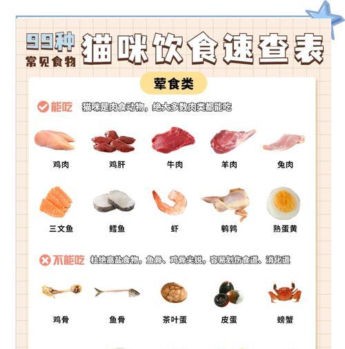 猫咪偏爱非传统食物如烤冷面有何风险？如何纠正猫咪的饮食习惯？