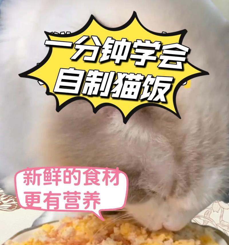 猫粮转猫饭需要过渡吗？突然转换食物的后果是什么？